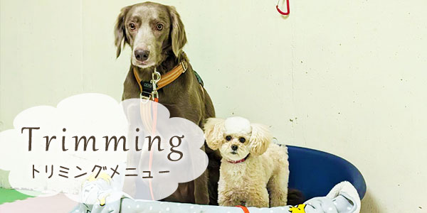 トリミング