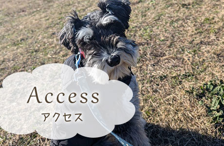 アクセス